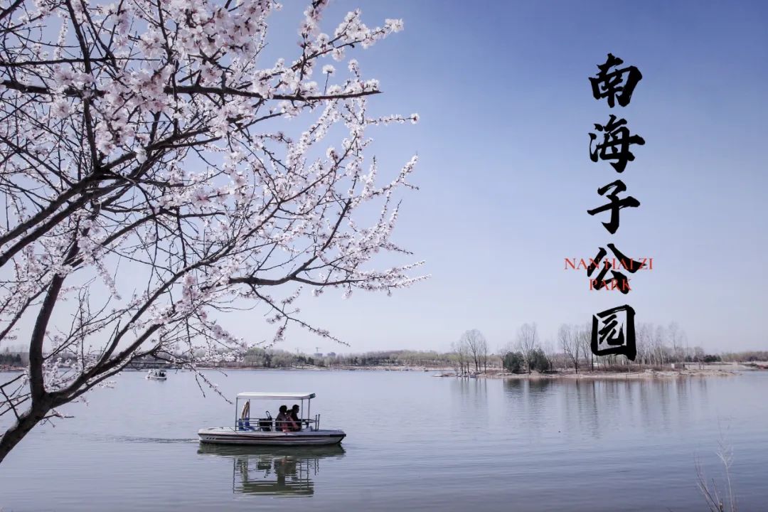 �Ϻ�����԰ | ��һ���������������������պ���ݹ���